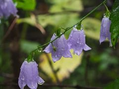 -北京金海湖景区