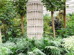 -南宫五洲植物乐园