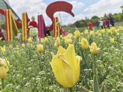 -沈阳植物园