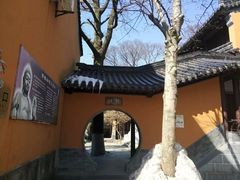 -灵谷景区