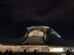 -哈尔滨大剧院