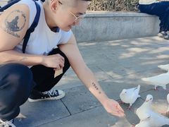 -天津妈祖文化园