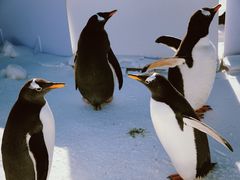 -鄂尔多斯野生动物园