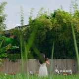 在花园里吃烤肉是一种什么体验呢⁉️  