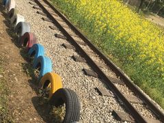 -武汉紫薇都市田园