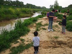 -洨河生态公园