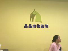 -瑞鹏宠物医院·爱宠堂·骨外专科(西荷分院)