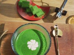 -柴务处·柴犬主题狗咖