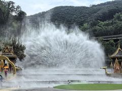 -西双版纳原始森林公园