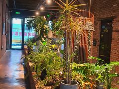 -一尺花园(首钢店)