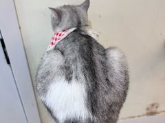 -共舞时光猫咖·狗咖(新街口店)
