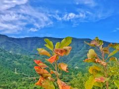 -香山公园-东宫门售票处