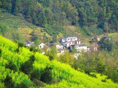 -石潭村