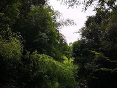 -千泷沟大瀑布旅游区