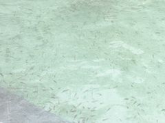 -三江森林温泉度假区