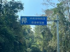 -野象谷景区