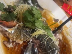 -东鸽皇(奥园·中环广场店)