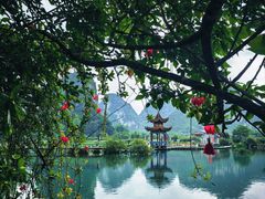 -靖西鹅泉风景区