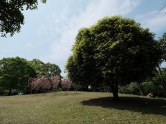 -南山植物园