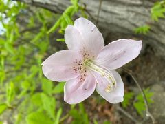 -丹东市五龙山风景区