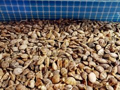 -橦橦小马扎烧烤 (传媒大学店)