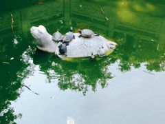 -黄埔古港