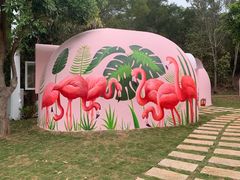 -漳州滨海火山岛自然生态风景区