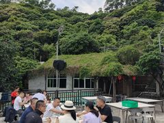 -鲤鱼塘农家山庄