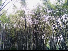 -晓港公园