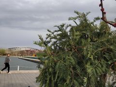 -廊坊文化艺术中心