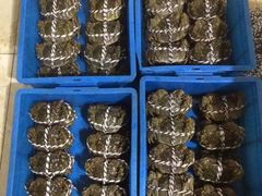 -喜洋洋蟹庄(阳澄湖店)