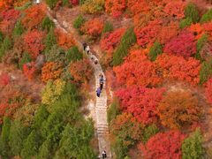 -大岭沟猕猴桃谷风景区
