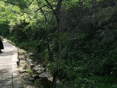 -万佛湖风景区
