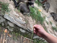 -宁波野生动物园