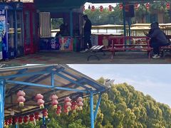 -广东花都香草世界旅游度假区