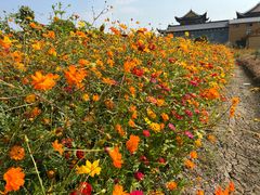 -三垟湿地