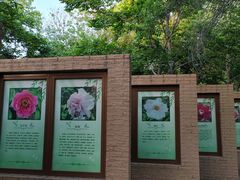 -莲花池公园