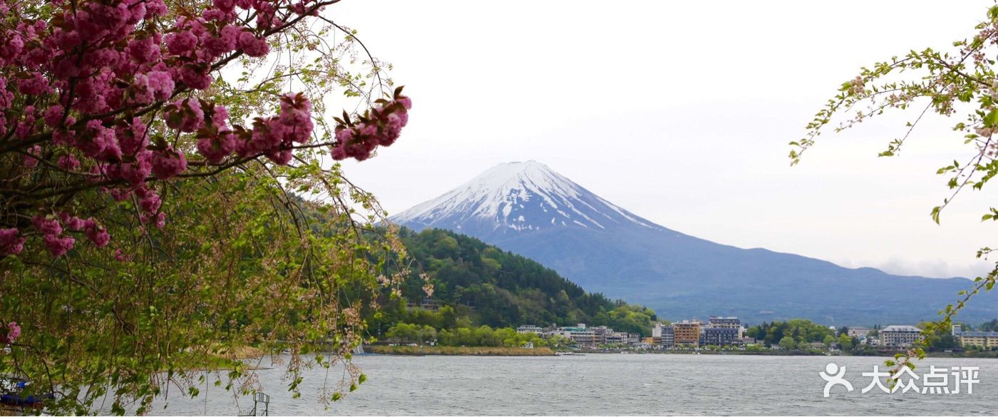 富士山-圖片-富士山景點-大眾點評網