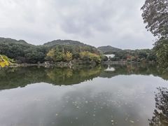 -白马涧龙池景区