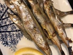 -桂马·日本料理·海胆·海鲜饭·酒场(民主广场店)