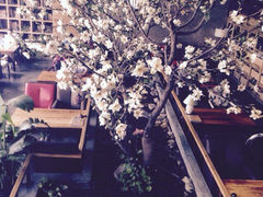 iphone_upload_pic-山有花啡餐厅(常营总店)