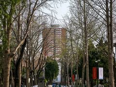 -山东大学(趵突泉校区)