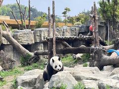 -宁波野生动物园