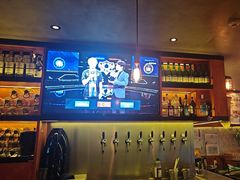 -猫员外精酿啤酒馆(聚豪园店)