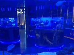 -上和臻品中国菜(花园街店)