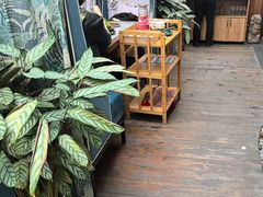 -慢丽江·云南野生菌土鸡锅(付家庄店)