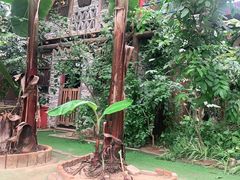 -呀路古热带植物园