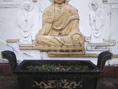 -大金鹰园