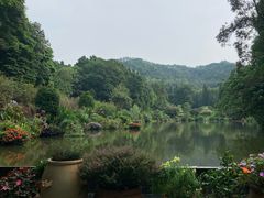 -深圳仙湖植物园