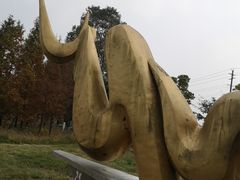 -两河城市森林公园